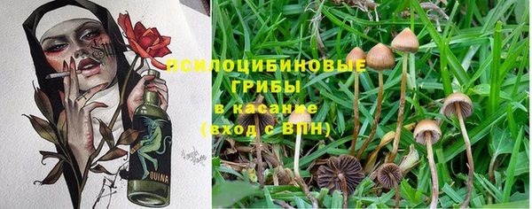 эйфоретик Алексеевка