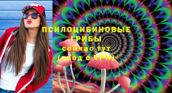 ECSTASY Алексин