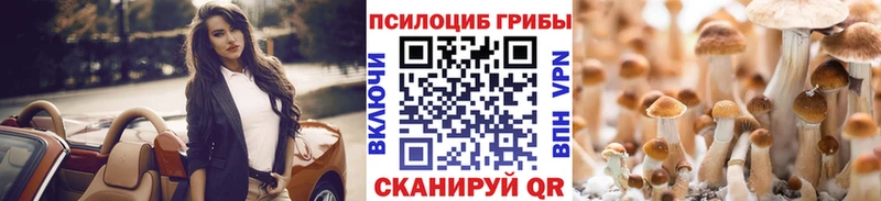 Галлюциногенные грибы Psilocybine cubensis  Изобильный 
